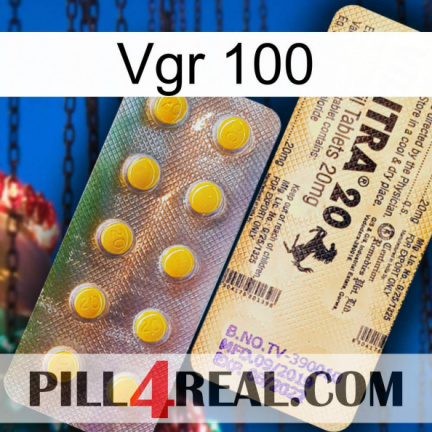 Vgr 100 new06